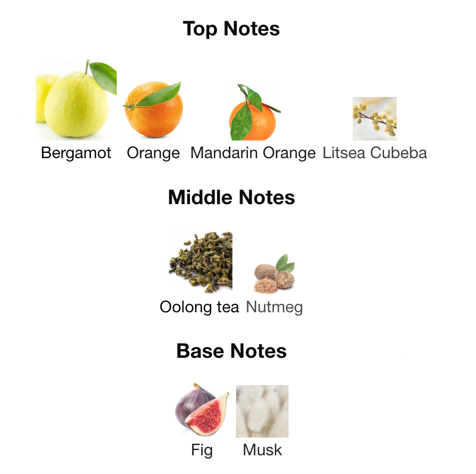 Pirâmide de Fragrâncias