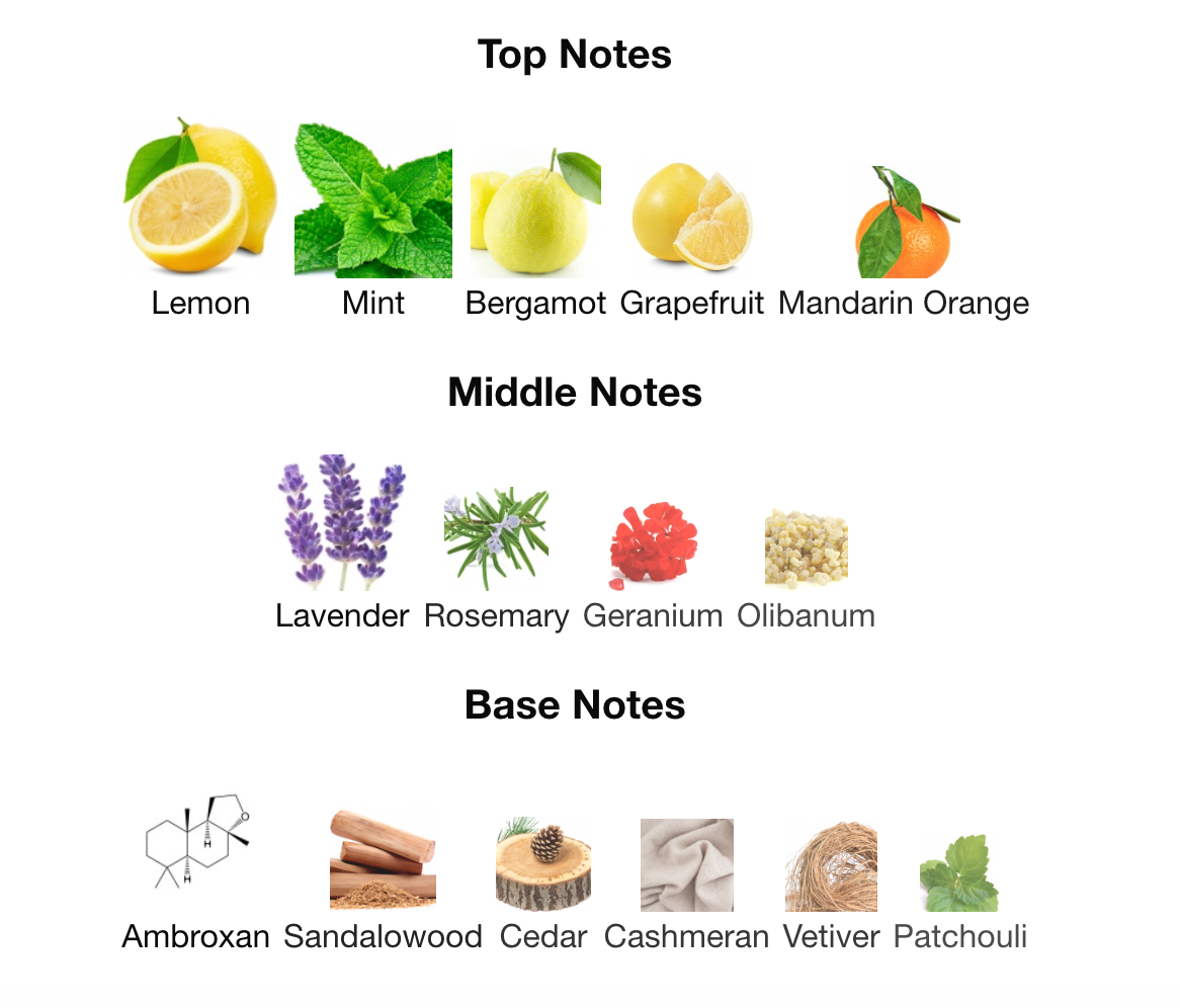 Pirâmide de Fragrâncias